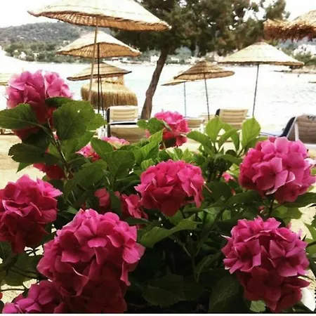 Pansiyon Gokce Cicek Butik Kıyıkıslacık